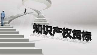 企業(yè)實行知識產(chǎn)權(quán)貫標(biāo)后 作用竟有這么大！